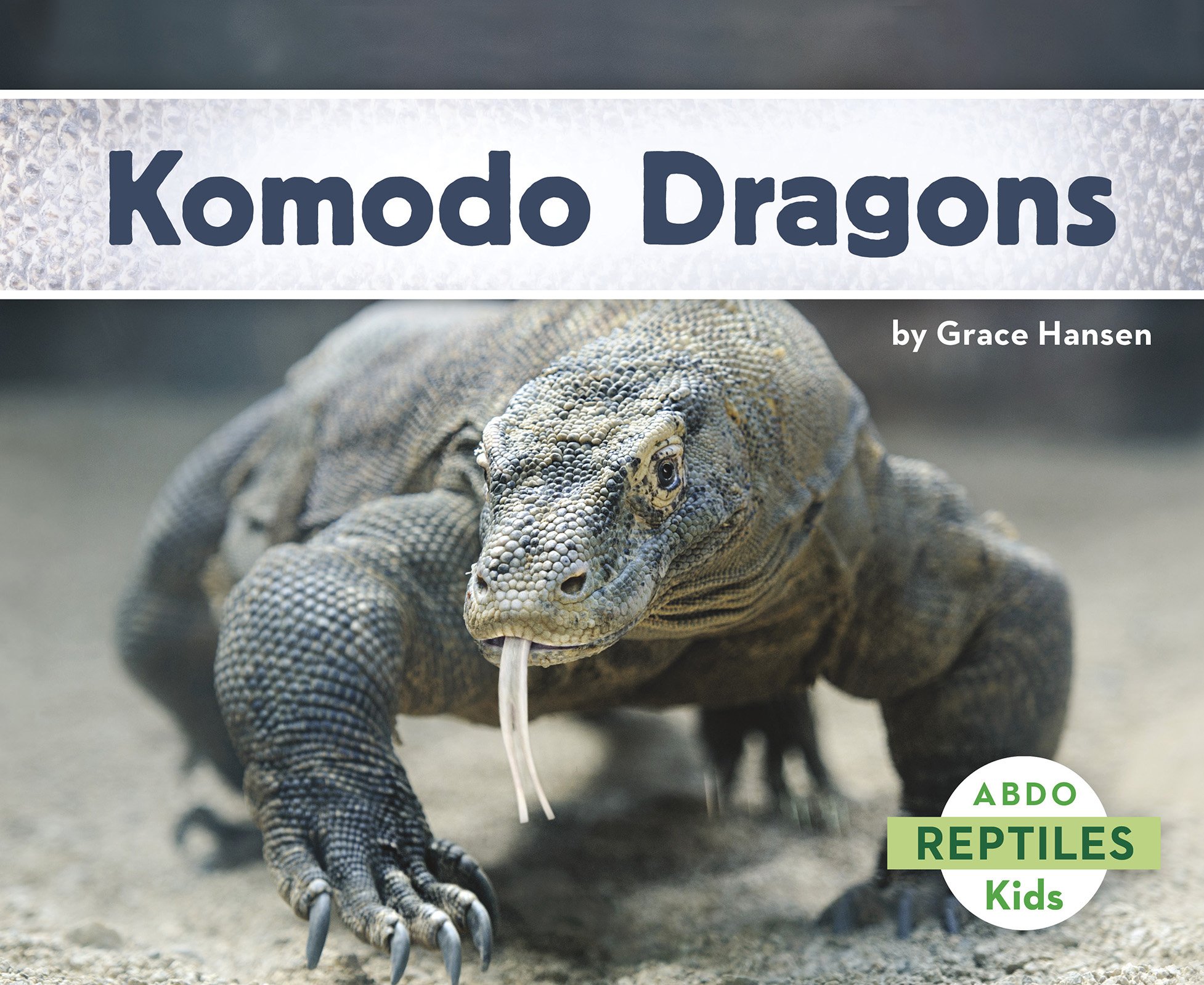 komodo reptiles