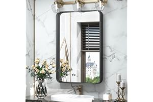 TokeShimi 16 x 24 Inch Matte Black Bathroom Wall Mirror Vanity Metal Frame Round Corner Rectangular for Home Decor Living Room Entryway (Horizontal/Vertical)