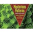 Mysterious Patterns: Finding Fractals in Nature