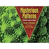 Mysterious Patterns: Finding Fractals in Nature