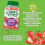 Chewy Vites ProBio Support 60 Gummies 2B Cultures Vegan Immunity view 3