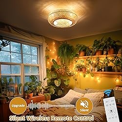 20" Boho Ceiling Fans with Lights and Remote