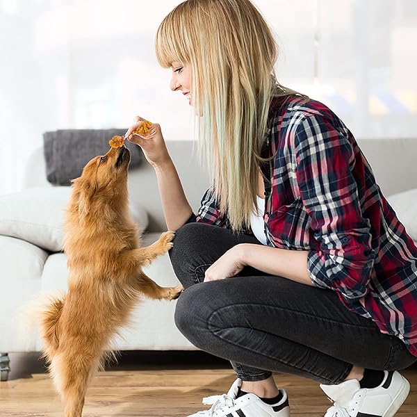 GOOD ‘N’ FUN TRIPLE FLAVOR DOUBLE POPS WITH CHICKEN CHEWS FOR ALL DOGS, 5.5 OUNCES, TREAT YOUR DOG TO CHEWS MADE WITH REAL CHICKEN, BEEF HIDE AND PORK HIDE