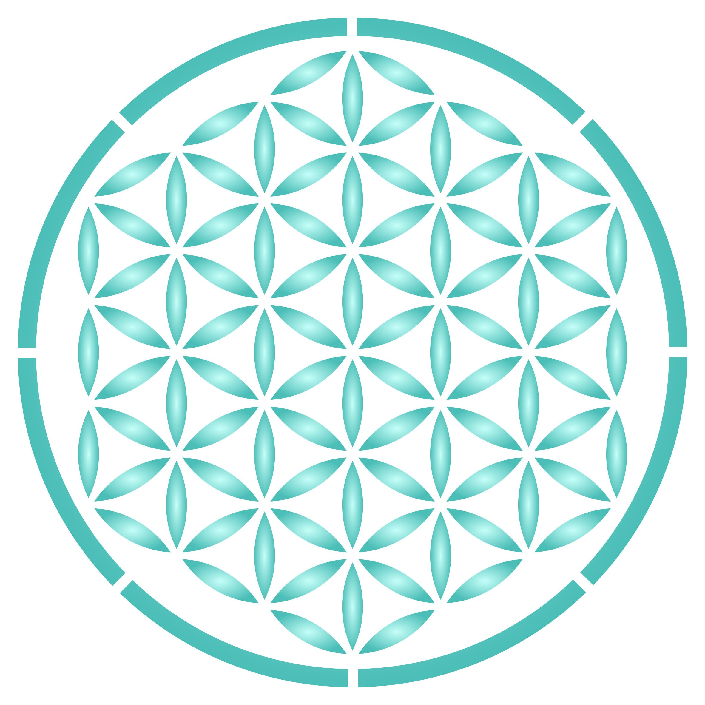 Flower of Life Stencil - 35.5 x 35.5cm (L) Reusable Sacred Geometry Mandala Wall Stencil Template