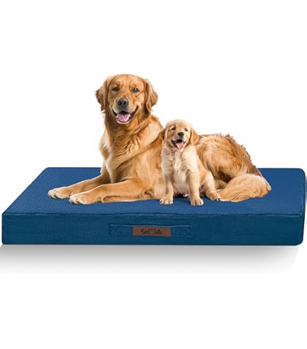 Cage Indestructible Dog Beds For Crates Beds Uk Dog Crate Bed