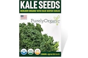 PURELY ORGANIC PRODUCTS LLC Organic Kale Seeds (Vates Blue Scotch Curled) - Approx 500 Seeds - USDA Organic, Non-GMO, Open Pollinated, Heirloom, USA Origin