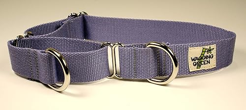 Eco friendly dog collars Clearance