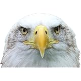 American Eagle Flag Bumper Sticker – USA Patriotic Decal For Car, Truck, RV, Laptop