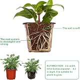 Augshy 110 Pcs 4 Inch Red Plastic Plant Nursery Pots Succulent Seedling view 3