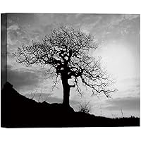 SIGNWIN Canvas Wall Art A Wisdom Tree with Sunrise on The Hillside Nature Wilderness Photography Modern Art Contemporary Dramatic Black and White for Living Room, Bedroom, Office - 12x18 inches