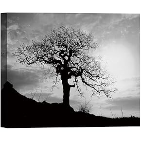 SIGNWIN Canvas Wall Art A Wisdom Tree with...