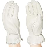 Amazon Basics Leather Work Gloves with Back Elastic - Beige, XXL