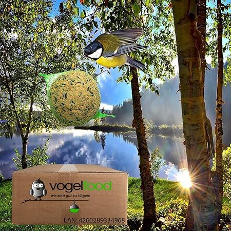 200 Stück 4 Jahreszeiten Meisenknödel mit Netz a 90 g = 18 kg Marke Vogelfood Vogelfutter sicher verpackt / DHL Versand