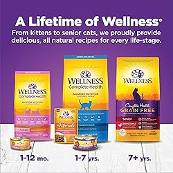 Wellness Complete Health Chicken & Turkey Pate