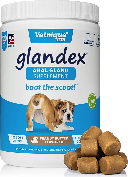 Glandex Fibre Supplements Dog Chews Treat With Pumpkin for Dogs