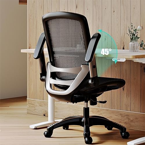 GABRYLLY Ergonomic Office Chair, Mesh Desk Chair Lumbar Support