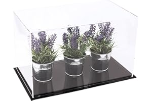 Better Display Cases Versatile Acrylic Clear Display Case - Medium Rectangle Box with Black Base 14" x 8" x 8.5" (A011-CDS)