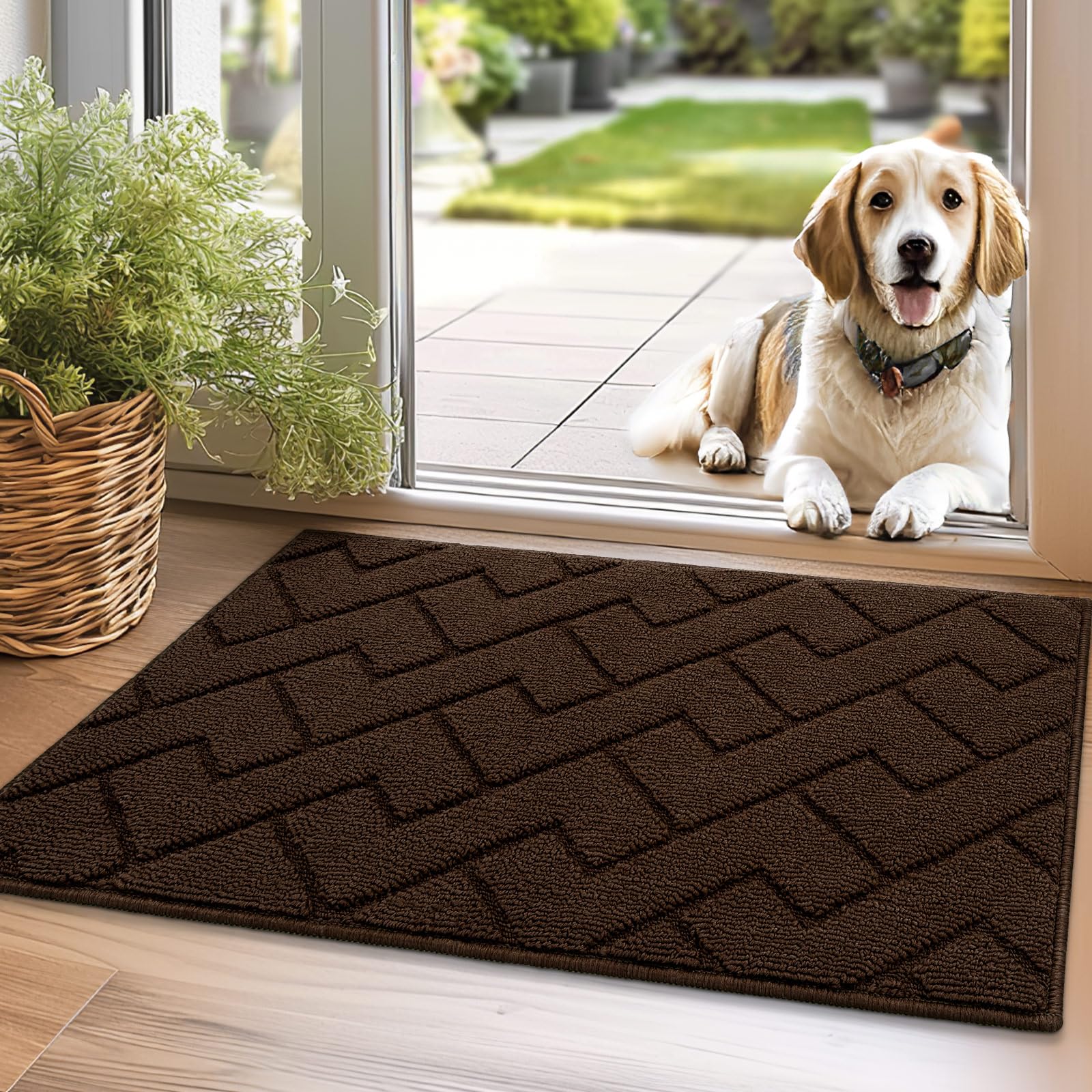 Biscpro Door Mats Indoor,Dirt Trapper Mat Absorbent Non-Slip Low Profile Doormat for Entrance,Inside,Kitchen,Front Door Mat Washable for Pets and Dogs—50x80cm,Coffee — image 1
