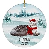 Santa Hat and Scarf Welcome Winter Silver Maine