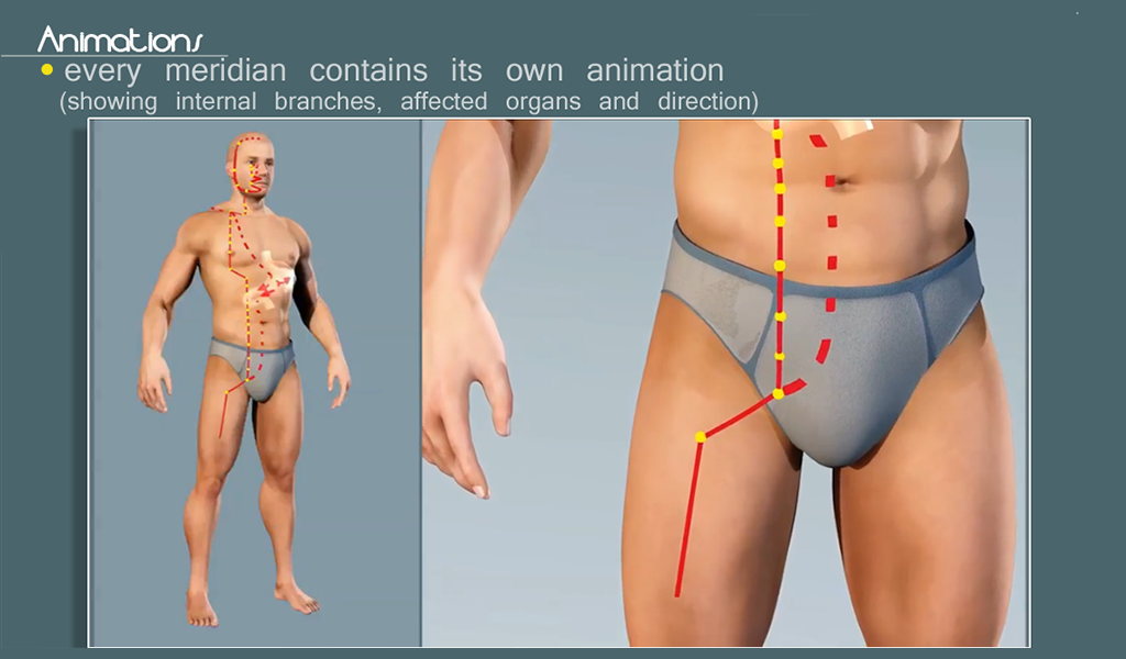 Easy Acupuncture