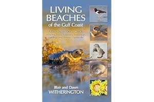 Living Beaches of the Gulf Coast: A Beachcombers Guide including Texas, Louisiana, Mississippi, Alabama and Florida's Panhandle