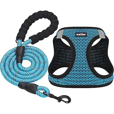 Amazon Best Sellers: Best Dog Harnesses