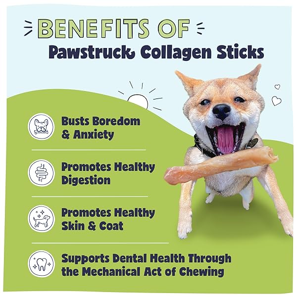 PAWSTRUCK NATURAL 5-7″ BEEF COLLAGEN STICKS FOR DOGS – LONG-LASTING RAWHIDE ALTERNATIVE, HIGH PROTEIN & LOW FAT WITH CHONDROITIN & GLUCOSAMINE – 5 PACK