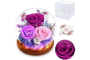 Women's Day Gifts for Her, Cadeau Pour Elle - Eternal Rose in Glass Dome with LED Lights, Forever Rose Romantic Gift for Birt