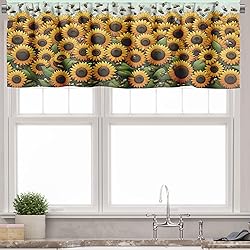 Ambesonne Summer Tones Valance & Tier Curtain 3 pcs