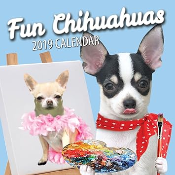 Privacy Policy (Updated: 11/28/18)