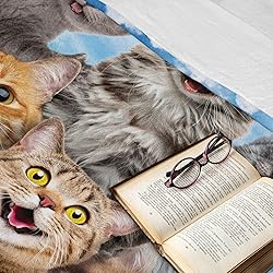 Ambesonne Kitty Throw Blanket, Kitten Cat's