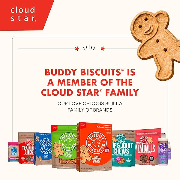 BUDDY BISCUITS CRUNCHY DOG TREATS, PEANUT BUTTER, 16 OZ. BOX