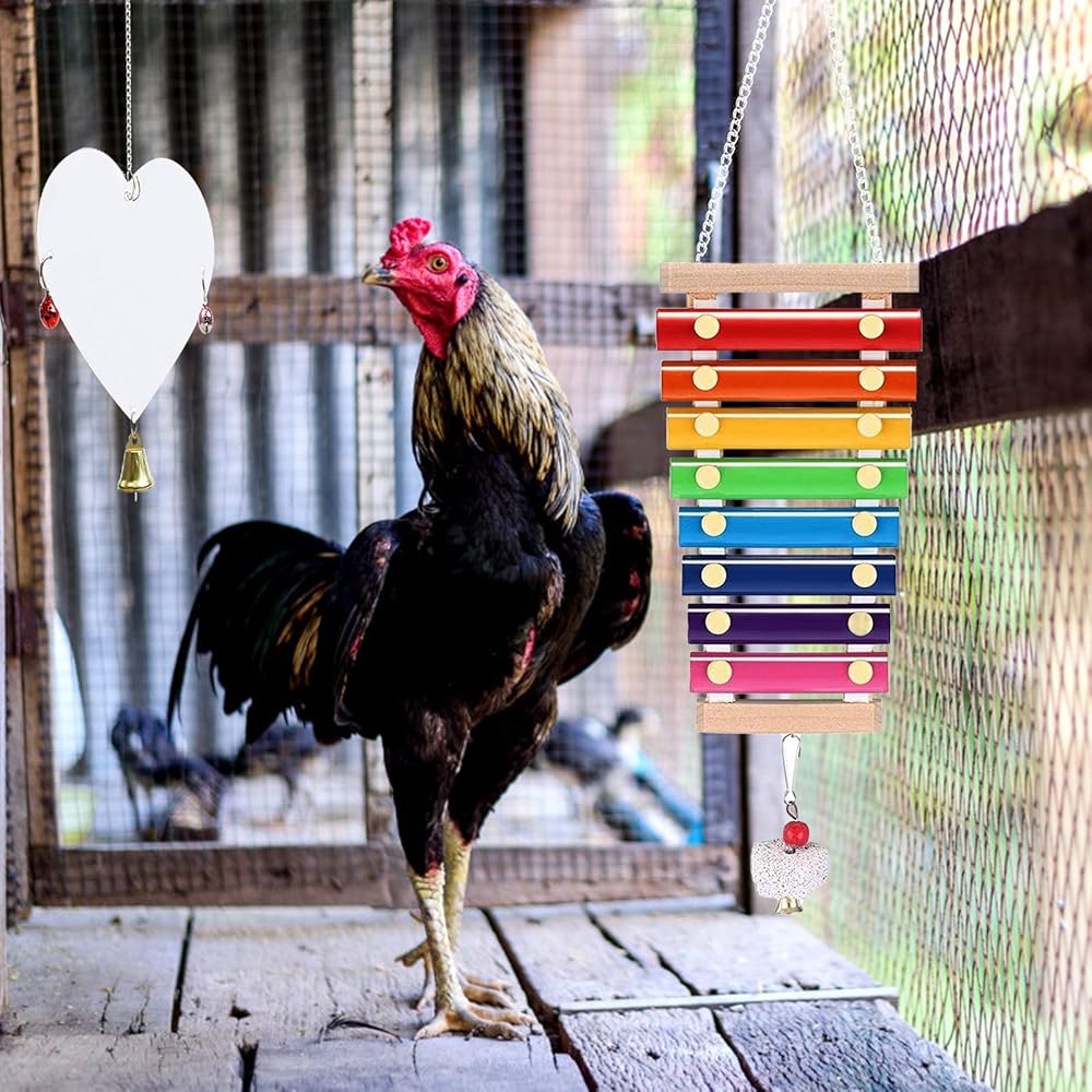 Spielzeug für Hühner