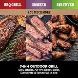 Ninja Woodfire Electric BBQ Grill & Smoker 7 in 1 Outdoor Grill Air Fryer view 3