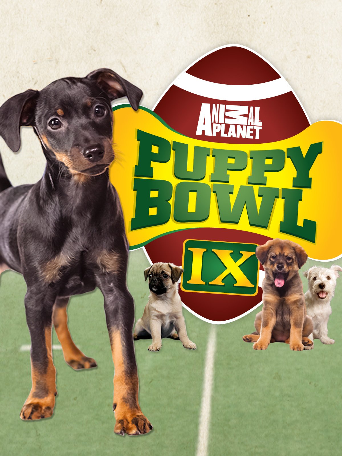 puppy bowl 2019 video