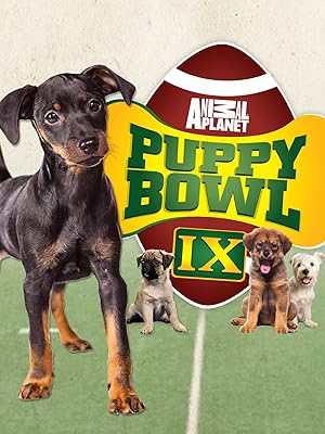 puppy bowl video