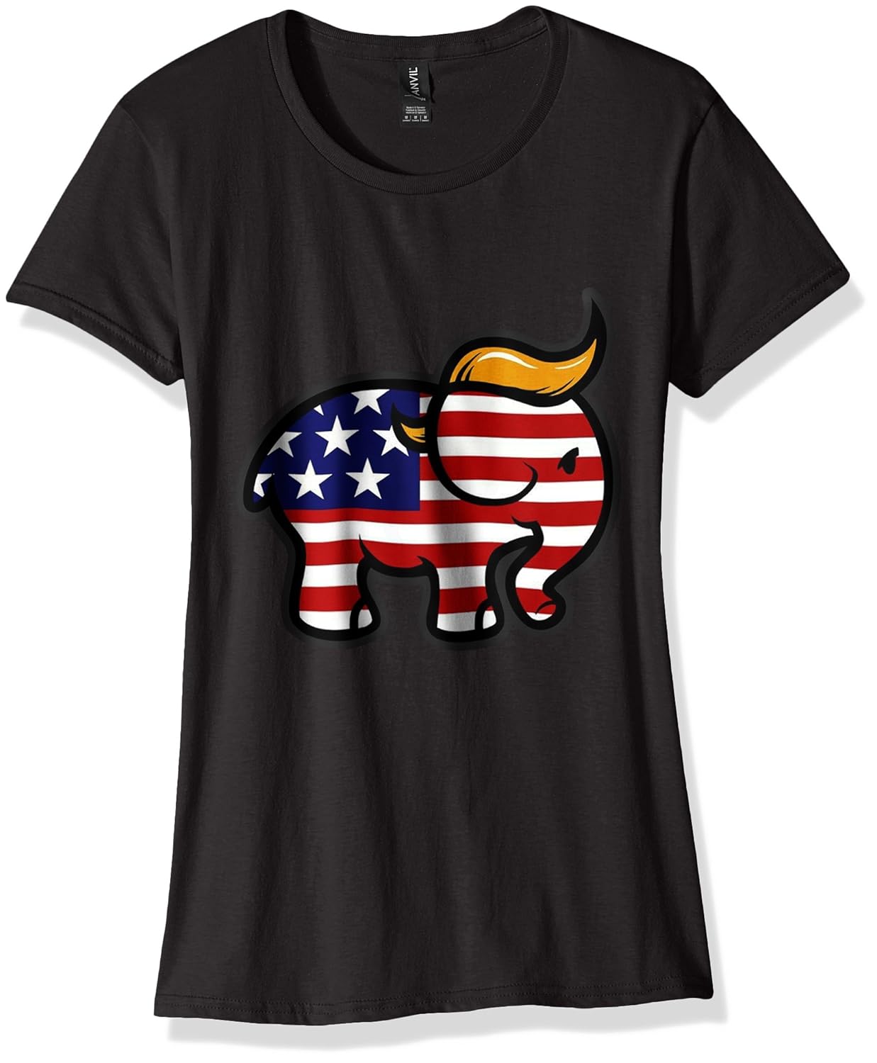 Trump felony sentencing