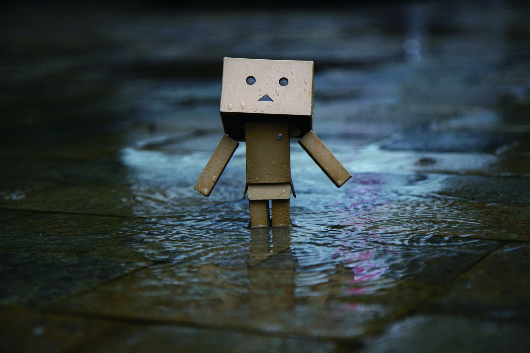 365 Days Of Danboard Amazon Co Jp Box あずまきよひこ よつばスタジオ Arielle Nadel 本 通販 Amazon