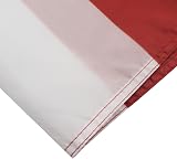 AZ FLAG Latvia Flag 3x5 Ft 100D Polyester with 2 Brass Eyelets Fade Resistant view 4