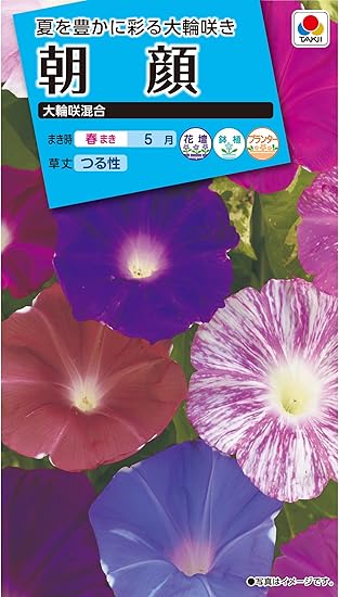 Amazon タキイ種苗 朝顔 大輪咲混合 花