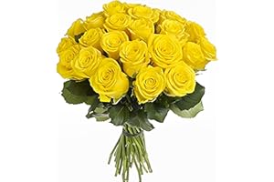 GREENCHOICEFLOWERS Fresh Cut 24 Yellow Roses - Fresh from the Farm Yellow Rose Bouquet – Hand-Selected Long-Lasting Gift and Home Decor Perfect Fresh Flowers |20" Long Stems No Vase-2 Dozen | Flowers Gift