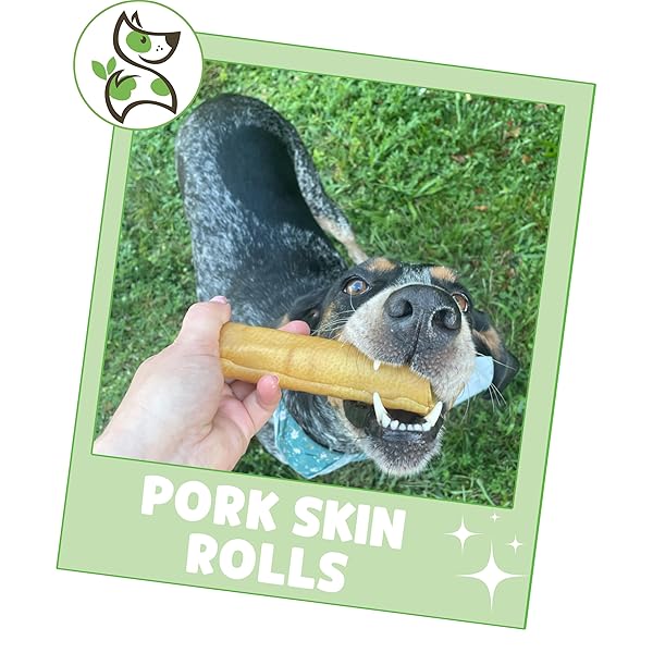 NATURE GNAWS PORK SKIN CHEWS FOR DOGS – PREMIUM NATURAL TASTY JERKY TREATS – LONG LASTING DOG CHEW BONES – RAWHIDE FREE 6 COUNT (PACK OF 1)