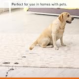 Vax 1L Pet Steam Detergent Neutralises Odours 4 Pack view 4