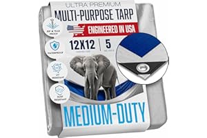 KING-A-MA-JIGS 12x12 Tarp Waterproof Plastic Tarp with Grommets Every 18 Inches - 5 Mil - Multipurpose Water Proof Rain Cover, Outdoor, Garden, Camping, Emergency Survival (Reversible Tarpaulin, Blue and Silver)