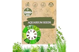 WILY FOX Premium Aquarium Plant Seeds for Planting – 13,000+ Live Mixed Seeds, 8 Varieties – Easy-to-Grow Aquatic Greenery for Lush, Vibrant Fish Tanks