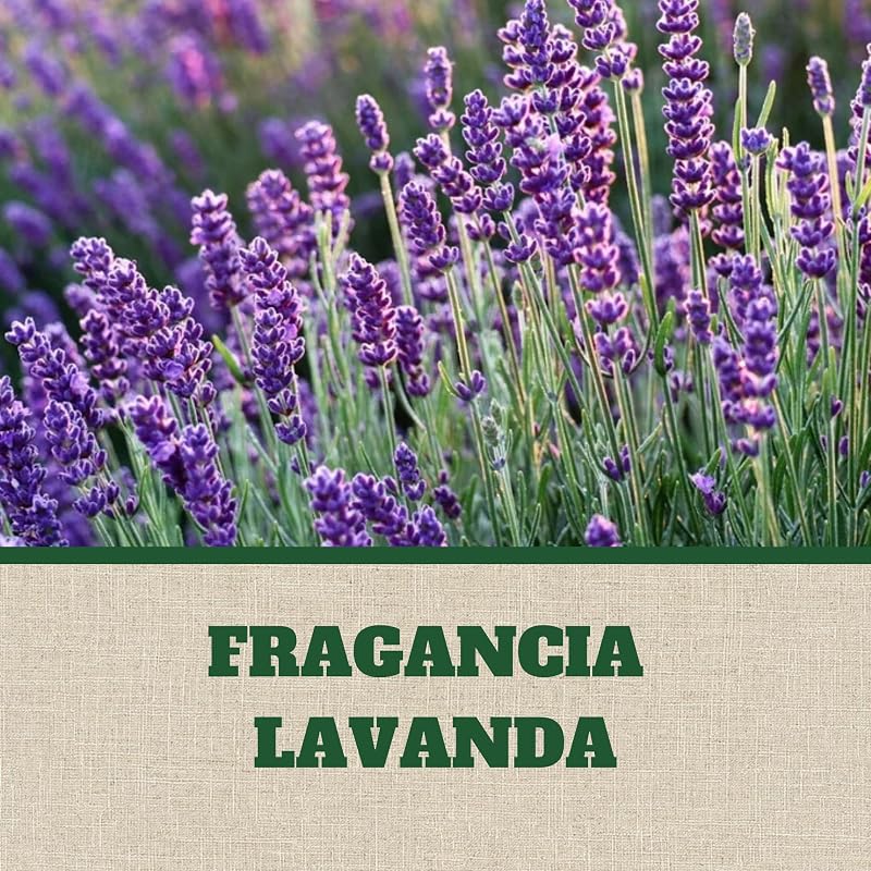 Gel Antipolillas Fragancia Lavanda, perfuma el armario y protege la ropa, dura hasta 3 meses, Pack 24 x 2 = 48 unidades