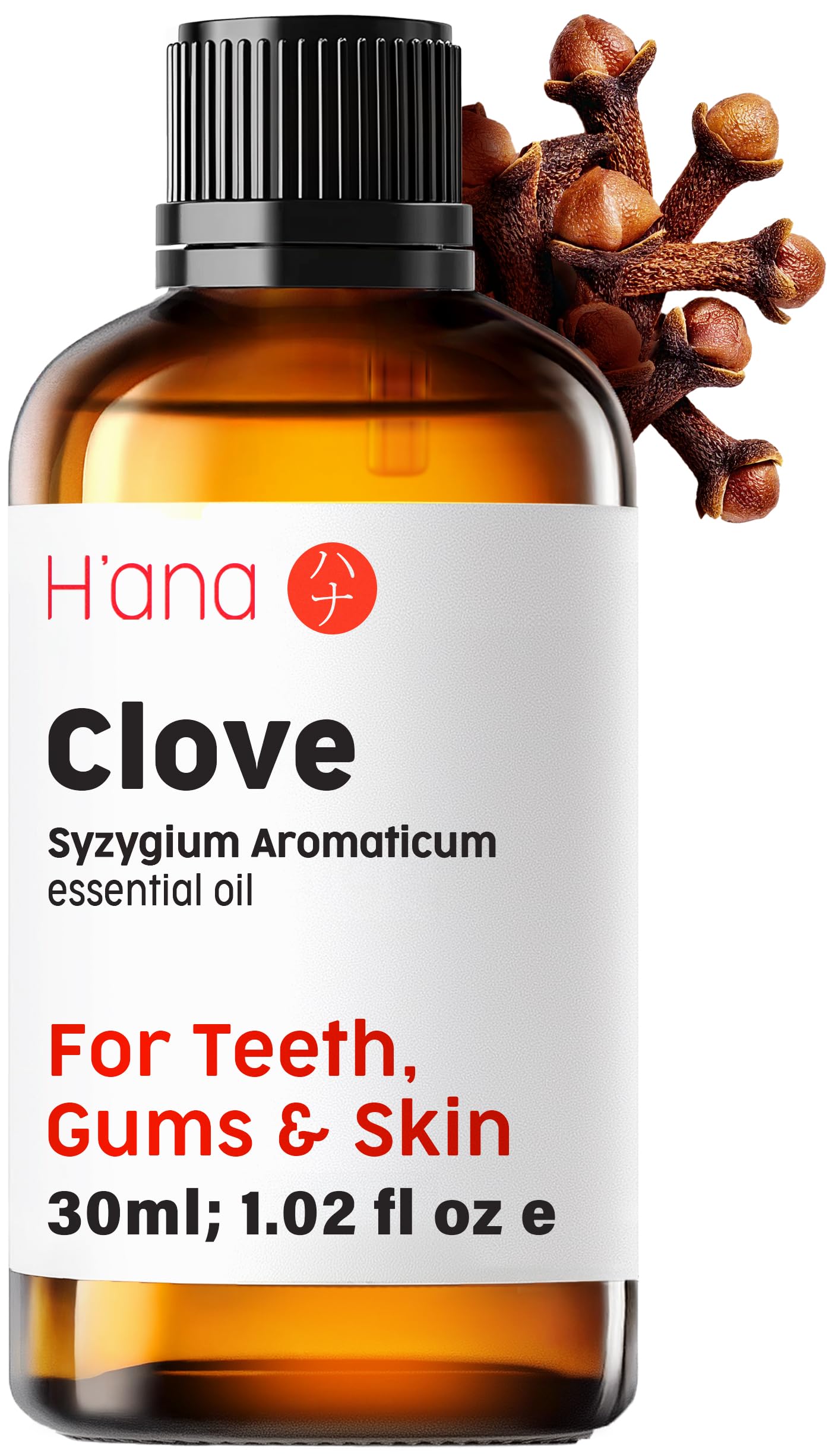 H’ana Clove Oil for Teeth and Gums - 100% Pure and Natural Clove Essential Oil for Hair, Skin and toothaches - with a Pungent, Spicy Aroma (30ml)