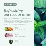 Miniml All Natural Body Wash 5L Refill Tea Tree Mint | Eco Friendly Bubble Bath view 4