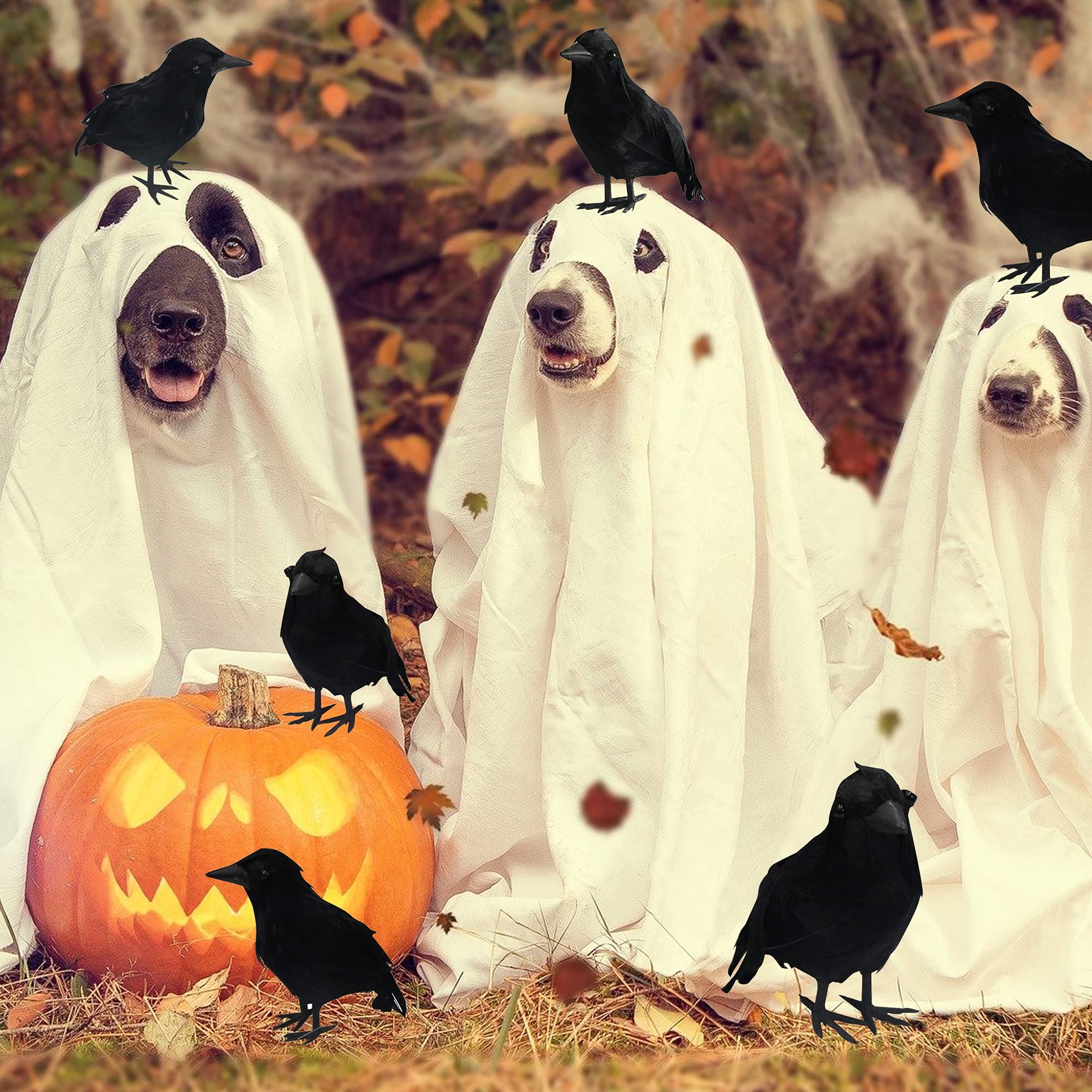 Dazzle Bright Halloween Black Feathered Crows Decor, Holiday Decoration for Indoor Outdoor Home Yard Garden Party Carnival Supplie (12 Pack)