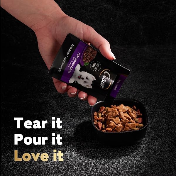 CESAR FILETS IN GRAVY WET DOG FOOD ROTISSERIE CHICKEN FLAVOR, FILET MIGNON FLAVOR, AND WOOD-GRILLED CHICKEN VARIETY PACK, WET FOOD FOR DOGS, 1.76 OZ. MINI-POUCHES, 40 COUNT
